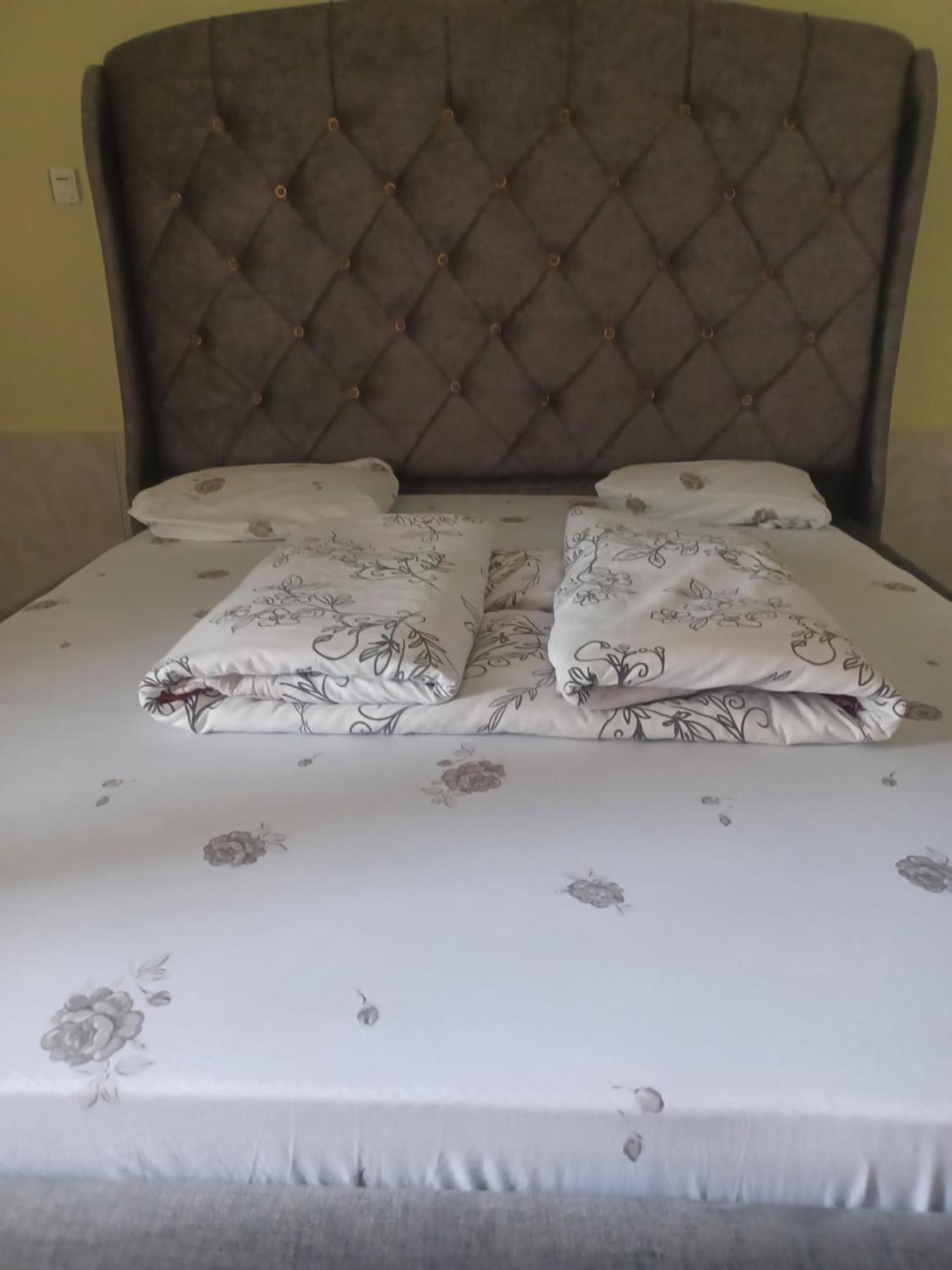 Ignite Guest House 吉塞尼 外观 照片